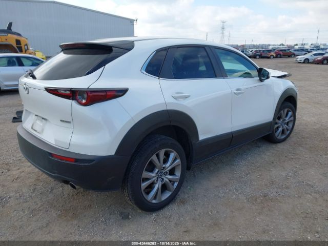 2021 MAZDA CX-30 3MVDMBCLXMM240505 Photo 3