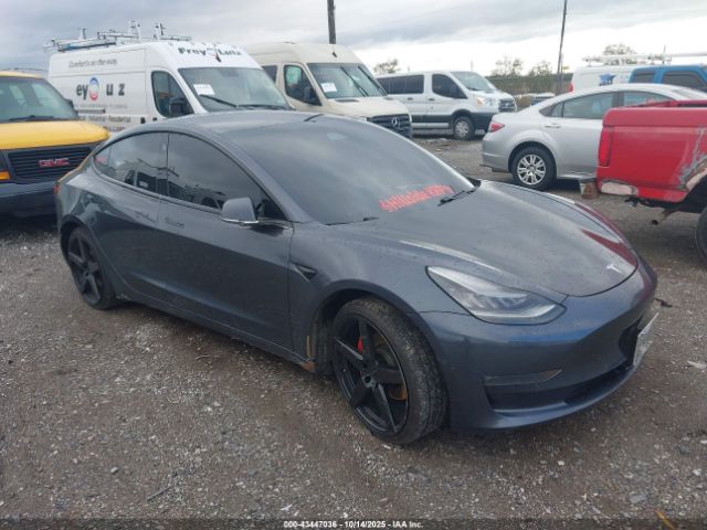 2019 TESLA MODEL 3 5YJ3E1EB1KF453529