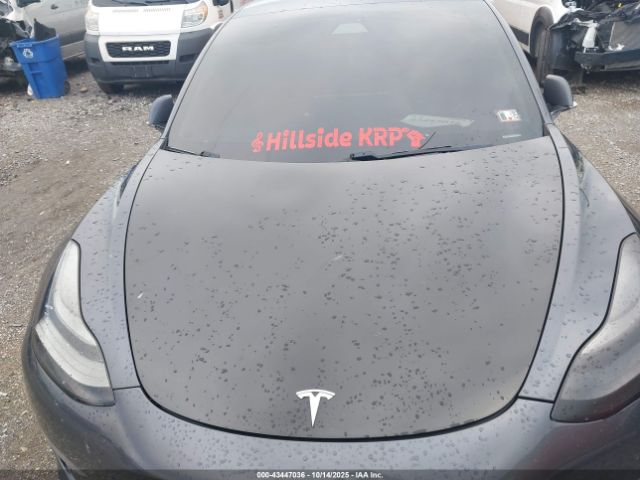 2019 TESLA MODEL 3 5YJ3E1EB1KF453529 Photo 9
