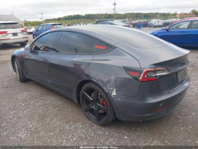 2019 TESLA MODEL 3 5YJ3E1EB1KF453529 Photo 2