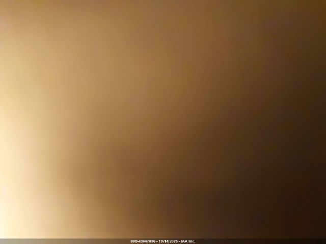 2019 TESLA MODEL 3 5YJ3E1EB1KF453529 Photo 6