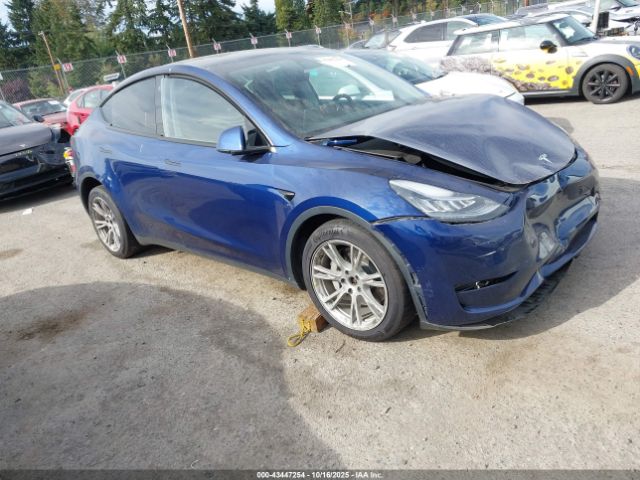 2021 TESLA MODEL Y 5YJYGDEE5MF260055 Photo 0