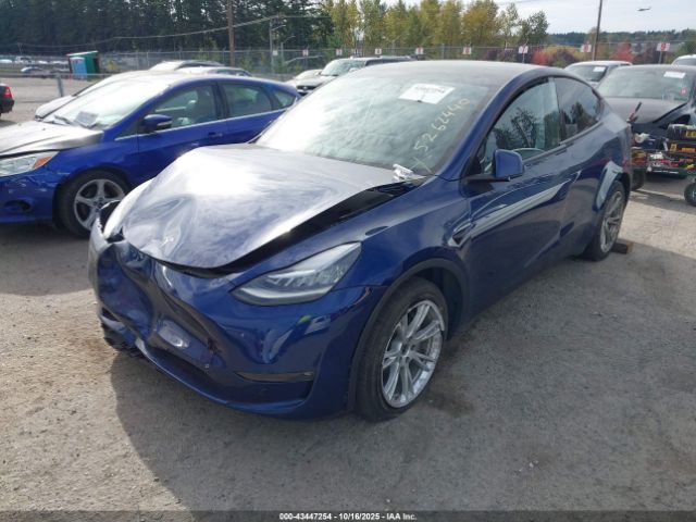 2021 TESLA MODEL Y 5YJYGDEE5MF260055 Photo 1