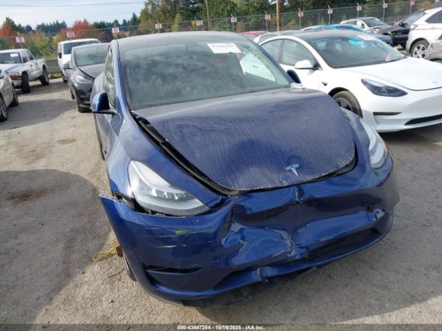 2021 TESLA MODEL Y 5YJYGDEE5MF260055 Photo 5