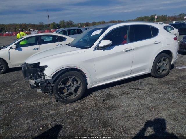 2020 ALFA ROMEO STELVIO ZASPAKBN6L7C91932 Photo 1