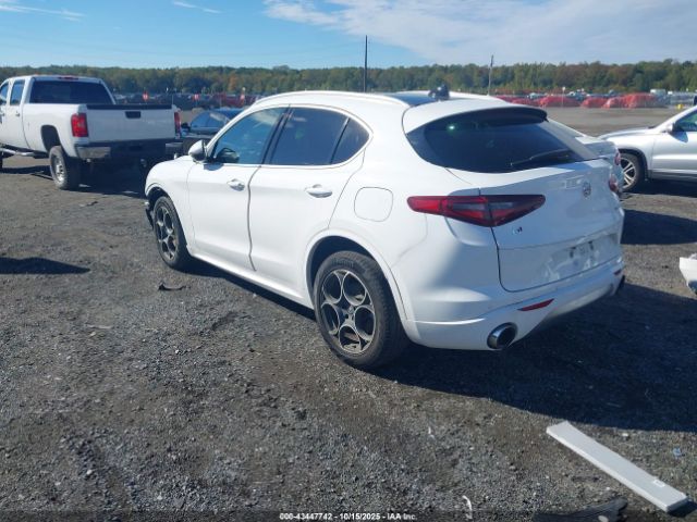 2020 ALFA ROMEO STELVIO ZASPAKBN6L7C91932 Photo 2