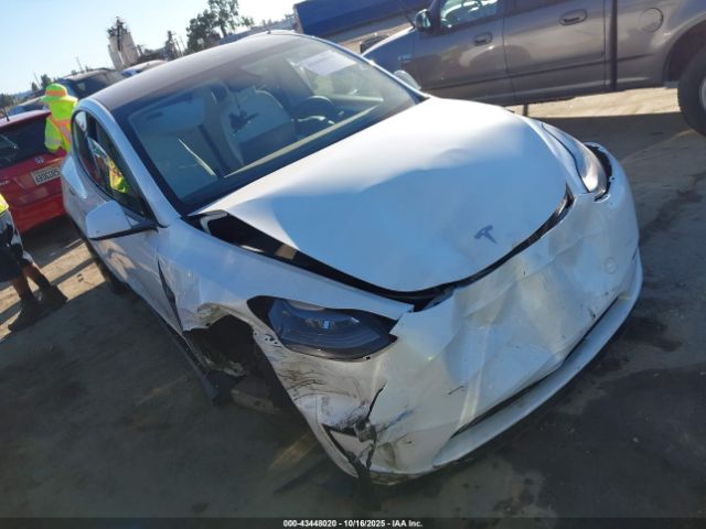2024 TESLA MODEL Y 7SAYGDEE5RF067818