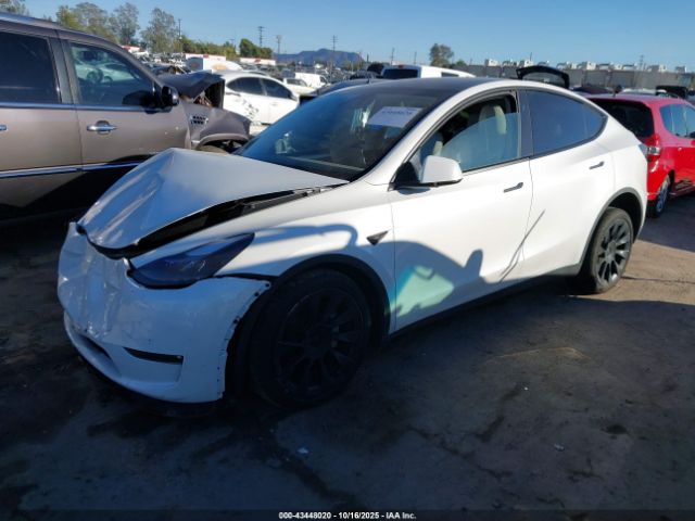 2024 TESLA MODEL Y 7SAYGDEE5RF067818 Photo 1