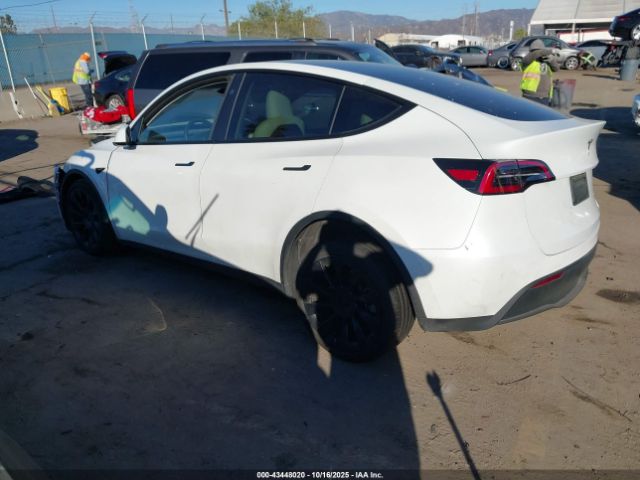2024 TESLA MODEL Y 7SAYGDEE5RF067818 Photo 2
