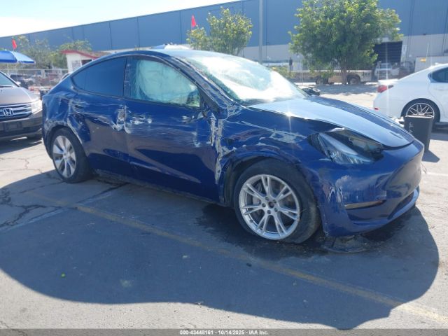 2021 TESLA MODEL Y 5YJYGDEE9MF263895 Photo 0