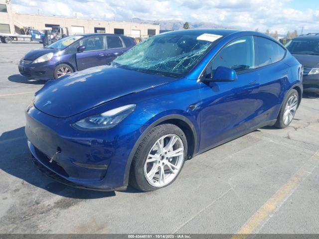 2021 TESLA MODEL Y 5YJYGDEE9MF263895 Photo 1