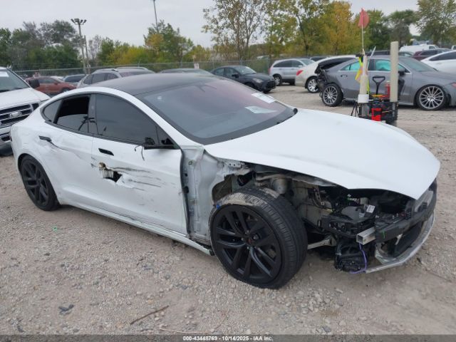2023 TESLA MODEL S 5YJSA1E50PF531002