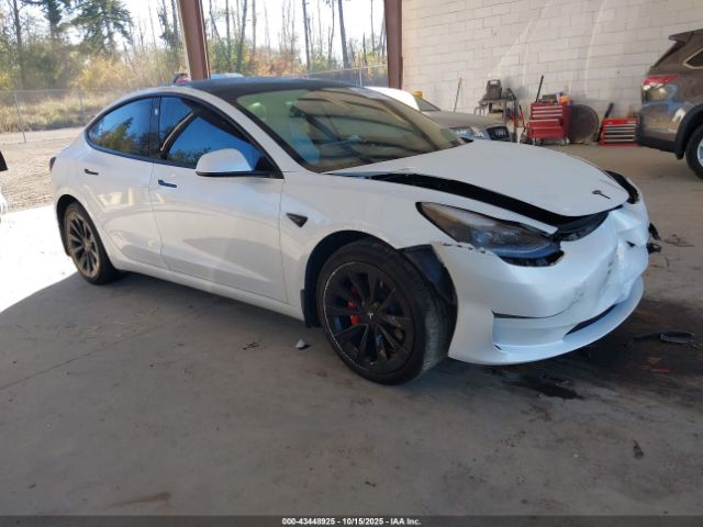 2023 TESLA MODEL 3 5YJ3E1EA9PF414489 Photo 0