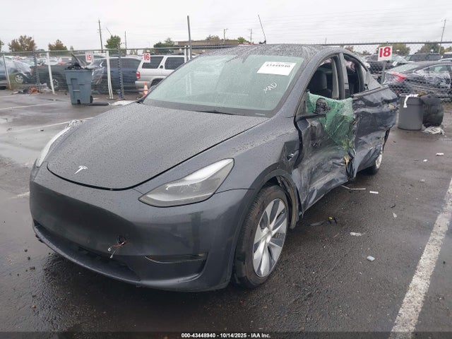 2023 TESLA MODEL Y 7SAYGDEE8PF842237 Photo 1