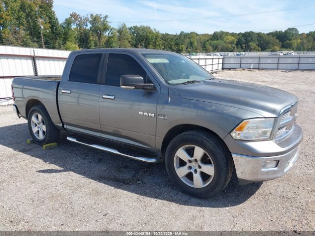 2009 DODGE RAM 1500 1D3HB13T99J502397