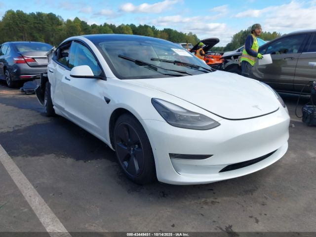 2023 TESLA MODEL 3 5YJ3E1EA8PF581989 Photo 0