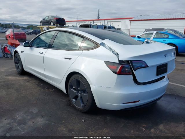 2023 TESLA MODEL 3 5YJ3E1EA8PF581989 Photo 2