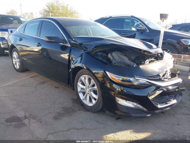 2019 CHEVROLET MALIBU 1G1ZD5ST1KF159960