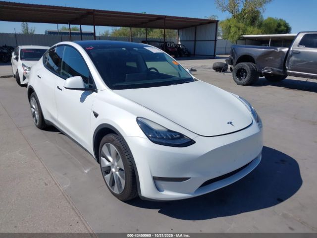 2022 TESLA MODEL Y 7SAYGDEE2NF356956 Photo 0