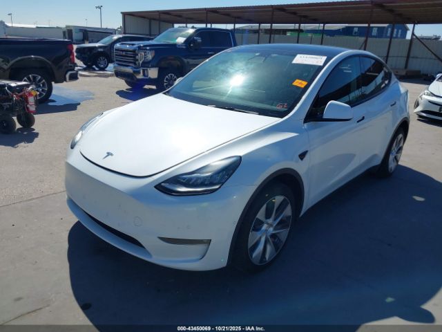 2022 TESLA MODEL Y 7SAYGDEE2NF356956 Photo 1