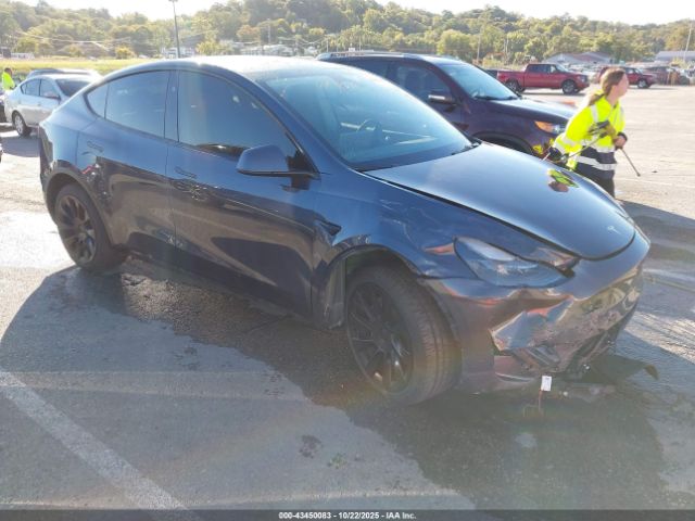 2023 TESLA MODEL Y 7SAYGDEE4PA206945 Photo 0