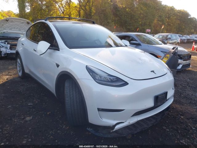 2021 TESLA MODEL Y 5YJYGAED9MF176519 Photo 0