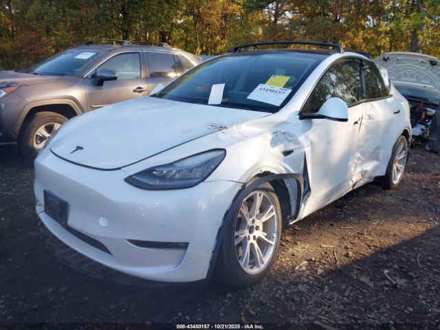 2021 TESLA MODEL Y 5YJYGAED9MF176519 Photo 1