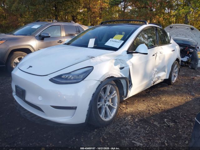 2021 TESLA MODEL Y 5YJYGAED9MF176519 Photo 5