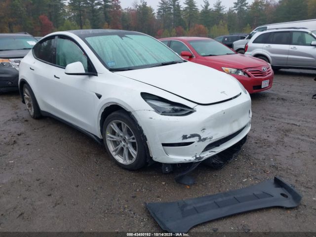 2023 TESLA MODEL Y 7SAYGDEE5PF686237 Photo 0