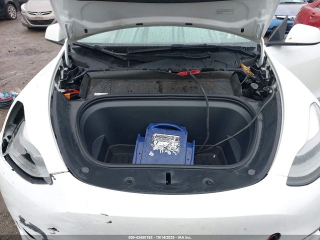 2023 TESLA MODEL Y 7SAYGDEE5PF686237 Photo 9