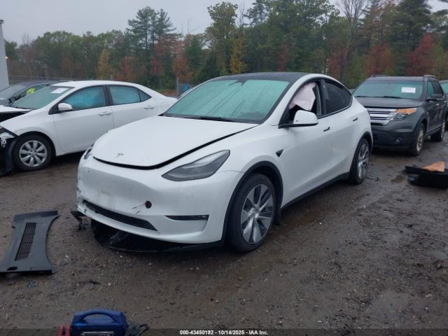2023 TESLA MODEL Y 7SAYGDEE5PF686237 Photo 1