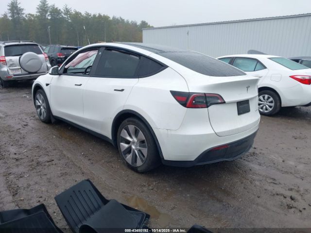 2023 TESLA MODEL Y 7SAYGDEE5PF686237 Photo 2