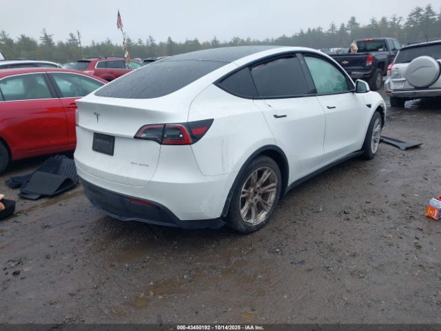 2023 TESLA MODEL Y 7SAYGDEE5PF686237 Photo 3