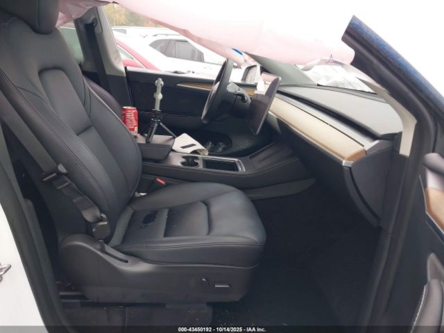 2023 TESLA MODEL Y 7SAYGDEE5PF686237 Photo 4