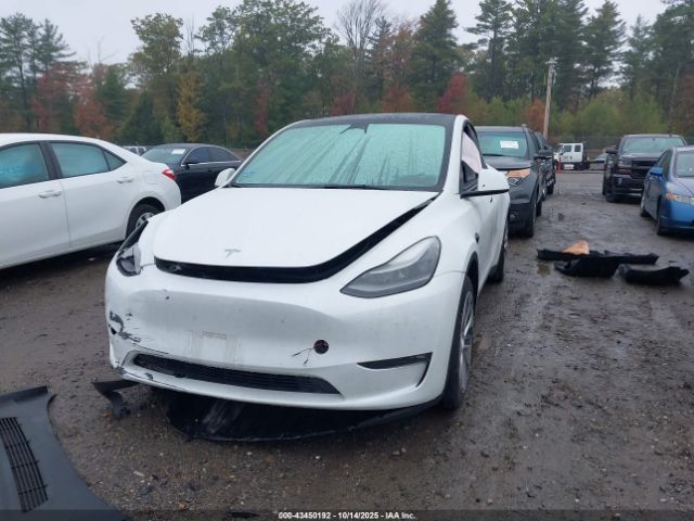 2023 TESLA MODEL Y 7SAYGDEE5PF686237 Photo 5