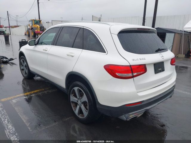 2017 MERCEDES-BENZ GLC 300 WDC0G4JB4HF130255 Photo 2