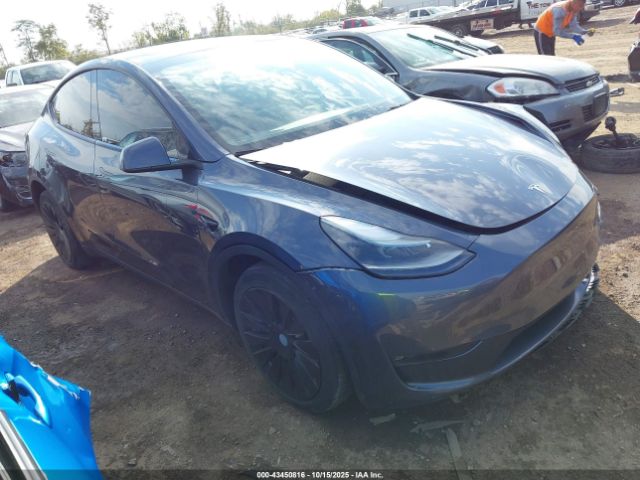 2023 TESLA MODEL Y 7SAYGDEE8PF598072 Photo 0