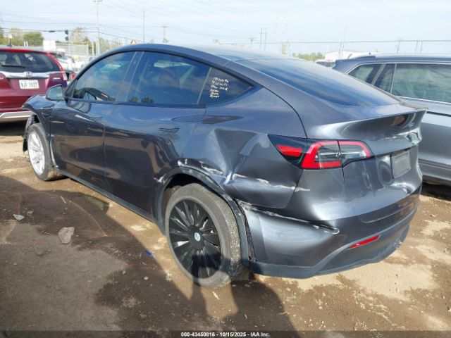 2023 TESLA MODEL Y 7SAYGDEE8PF598072 Photo 2