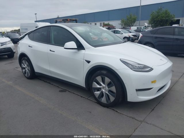 2022 TESLA MODEL Y 7SAYGDEE3NF388511 Photo 0