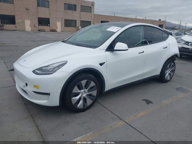 2022 TESLA MODEL Y 7SAYGDEE3NF388511 Photo 1