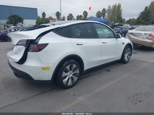 2022 TESLA MODEL Y 7SAYGDEE3NF388511 Photo 3