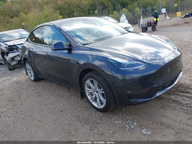 2024 TESLA MODEL Y 7SAYGDEE5RF031353 Photo 0