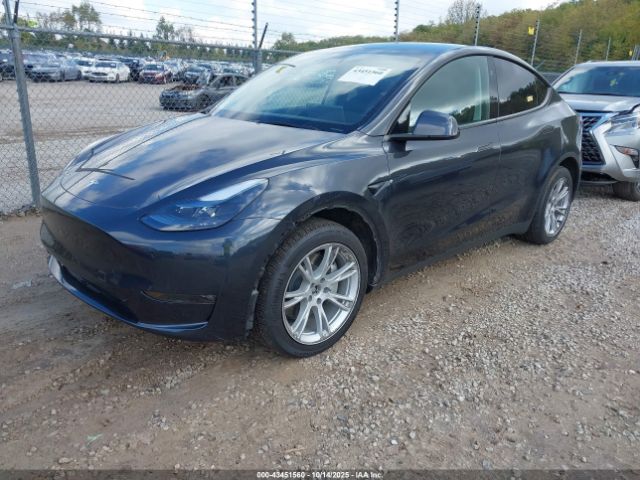 2024 TESLA MODEL Y 7SAYGDEE5RF031353 Photo 1
