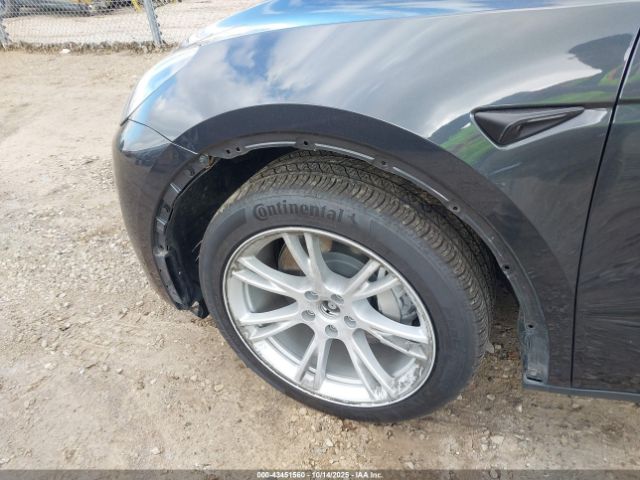 2024 TESLA MODEL Y 7SAYGDEE5RF031353 Photo 5