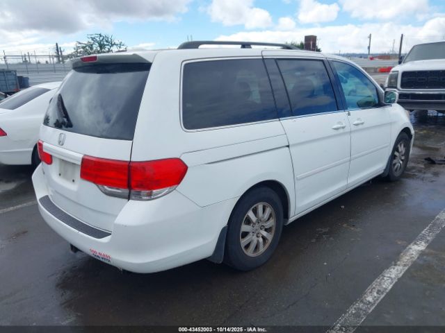 2010 HONDA ODYSSEY 5FNRL3H74AB006873 Photo 3