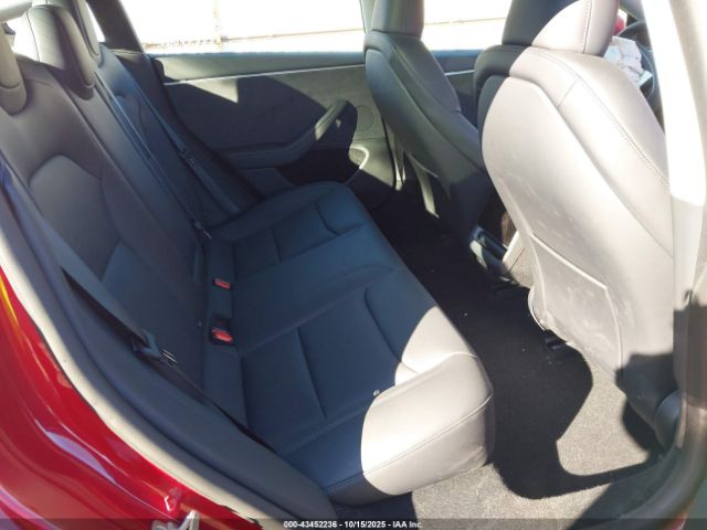 2025 TESLA MODEL 3 5YJ3E1EB8SF883722 Photo 7