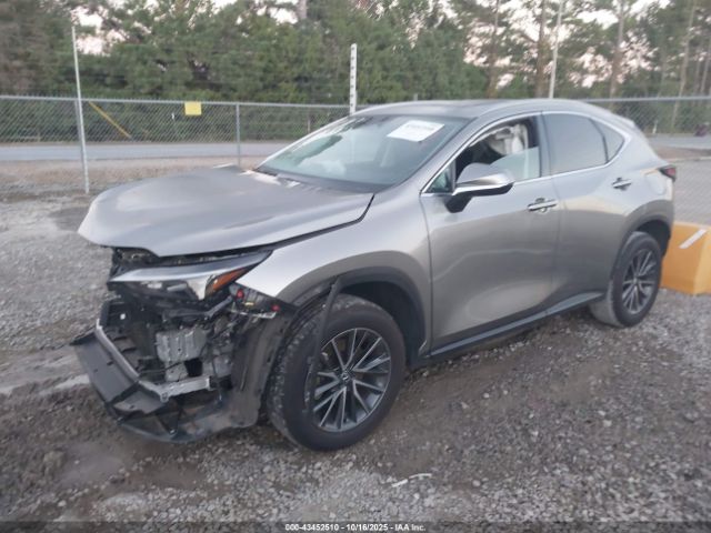 2024 LEXUS NX 250 2T2GDCAZ0RC006171 Photo 1