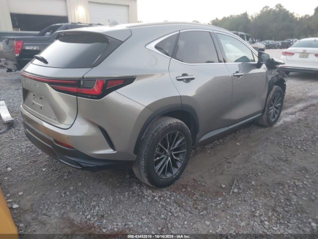 2024 LEXUS NX 250 2T2GDCAZ0RC006171 Photo 3