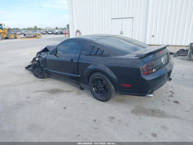 2007 FORD MUSTANG 1ZVFT82H875249076 Photo 2