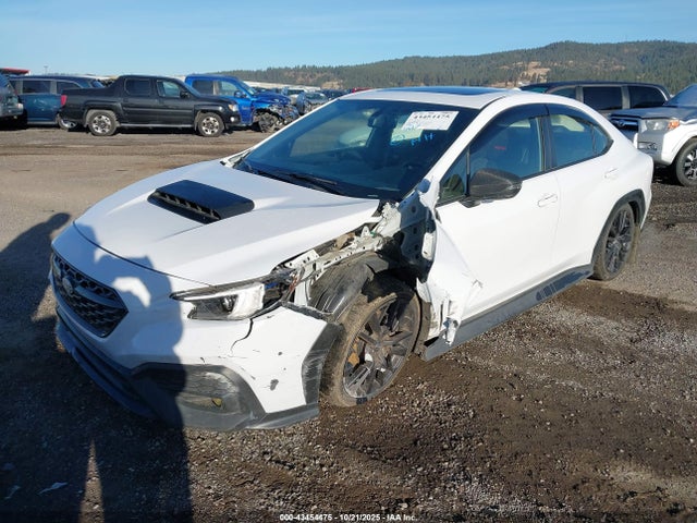Subaru dib 2022 JF1VBAL69N9012582 Image 2